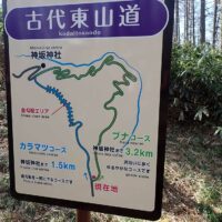 ブナコースとカラマツコースの合流点