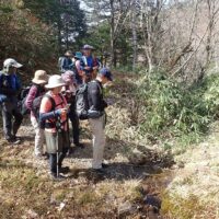 この下は恵那山トンネル。車がたくさん走っている。