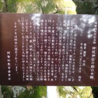 神坂神社　栃ノ木群の説明
