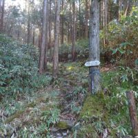 林道を横切るとすぐに登山道が続く