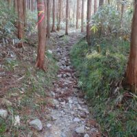 明瞭な道