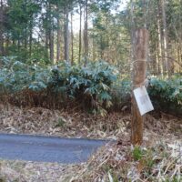 林道を横切るところには案内がある