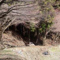 古の道が残る