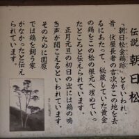 朝日松の説明板