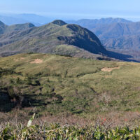 願教寺山への湿原