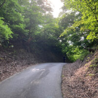 桜峠には特に案内標柱はなく、切通しとなっている