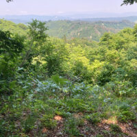 米沢方面が遠望できる