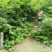 登山道に入る