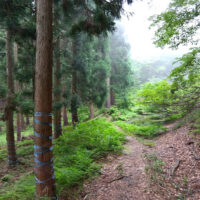 滝谷山分岐手前の池付近