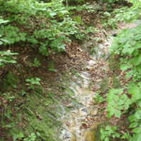 瘦せ尾根の断層