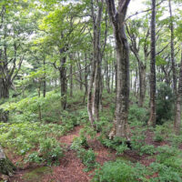 抜土に向かう