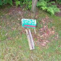 林道の抜土に着く