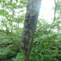 国境稜線合流点（大谷山分岐）