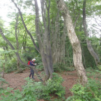 p784に向かう稜線
