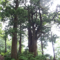 p784に向かう稜線