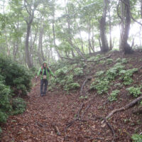 旧能登越を闇見側に下る