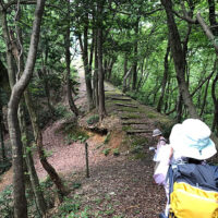 赤坂山に向かう