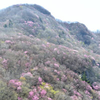 兜岩から西赤石山