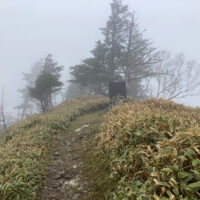左手の道がニノ森、剣山へと続く道です。