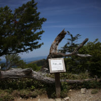 刀掛けの松があった場所