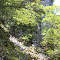 劔山本宮古劔神社