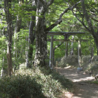 八丁坂の途中に石鎚山遥拝鳥居