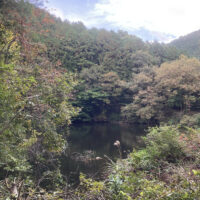 分岐を左に進んですぐに右手に見られる池