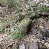 三合目標識の左方にある水場