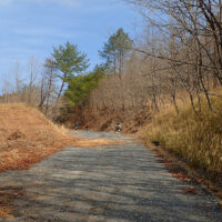 古道傍の林道を行く 舗装路終点から左へ、10ｍ幅の未舗装林道が北に延びている。 この林道を約1㎞進む。本来の古道は右(東側)の稜線上を、並行して北上する。