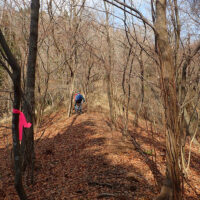 植林帯脇の細尾根： しばらく植林帯との境目の細尾根を伝う。右上に一段 上がると広めの尾根に出る。踏み跡ははっきりせず、作業道や倒木があるができるだけ高い尾根筋近くを行く。