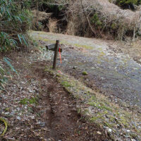 林道駒返線出合い：駒返峠からの下りは、様子が一変する。一挙に断崖的地形となり、傾斜はかなり強くなる。慎重に下るとやがて舗装した林道駒返線に出る。西に50mほど進むと標識があり、再び植林地に入る。