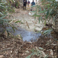 渡渉点：15分程で小さな流れを渡渉し、再び舗装した林道に出る。これを500～600ｍ下る。