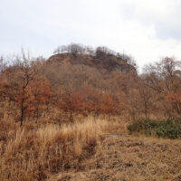 城山(駒返城跡)：林道を下る途中、右(東側)の小高い位置に城山(中世の駒返城跡)を仰ぎ見る。