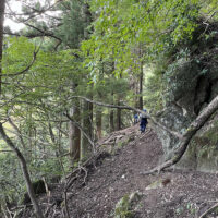 岩を削除したと思われる古道跡：岩を砕き古道を開削したと思われる箇所が何ヶ所か続く。傍には杉の古木も続く。
