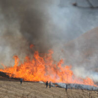 野焼き：外輪山をはじめ、阿蘇の原野では千年の昔から行われてきた野焼き、ダニの駆除や森林化を防ぎ草の芽立ちをよくする目的で行われ、毎年2月末から3月、春を告げる風物詩となっている。近年放牧を営む農家の減少から人手不足で野焼きの面積も減少気味。輪地切、火引き(火入れ)などの危険な作業も、多くのボランティアの支援も受けて行われている。野焼きによって大陸系の希少動植物の維持にも寄与しているといわれる。
