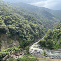 阿蘇北向谷原始林：南外輪山の先端は黒川と白川が合流する外輪山唯一の切れ目である立野峡谷に落ち込む。急崖のため手つかずの原生林となって残り、低高度での原生林は珍しいといわれる。カシ、シイ、タブ、モッコクなどの常緑広葉樹を主とする照葉樹林帯である。昭和44年「阿蘇北向谷原始林」として国の天然記念物に指定されている。標高約250m～800mに位置する。 北向山北面全景(北向谷原始林)：かつてこの8合目付近を東西に横断する南郷往還が走っていた。遠くから微かにそれを辿る杉並木が見える。