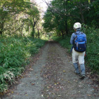 林道：外牧神社から2㎞ほどは緩やかな登りの林道が続く。