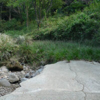 荒れた林道：進むにつれて林道は荒れ、岩戸神社の上辺りまで来ると、一部コンクリート舗装の部分もえぐられて流され草丈も次第に深くなる。