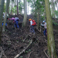 林道は消え杉林の中に突入：杉の造林帯に入ると林道は消え、全く見境がつかなくなる。