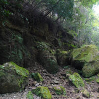 古道跡も巨石に塞がれている：造林帯を抜けると古道跡と思える部分を発見、しかし斜面から落ちてきた大きな岩に塞がれ辛うじて通過できる。