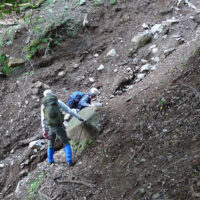 原始林の中の崩壊地：杉林はやがて急斜面になり、杉林から広葉樹林に代わって北向山原始林に突入したことがわかる。すぐに崩壊した斜面に出合う。幅20m程の崩壊地を慎重にトラバース、斜面の底の白川は見えない。このような急斜面の崩壊地が断続的に数か所続く。