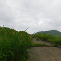 馬の背ルート、牧野の中の舗装路