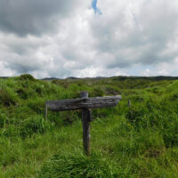 馬の背ルートⅡ:黒川ルートの途中からの分岐　