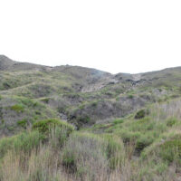 牧道から原野の中に入る(中央部分をS字形に進む)