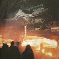 阿蘇神社の年間祭事の一つ、火振り神事：神の婚姻を祝うもので、御前迎えの一環であり、氏子や見物人が茅で作ったたいまつを神社の参道で振り回して灯りを設ける。春の風物詩として知られる。