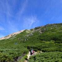 石畳の白山登拝道からハイマツ帯のジグザク登山道