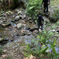 沢を渡る