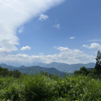 薮のある道を進む