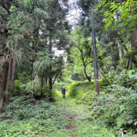 朴ノ木峠から小国小坂町へ