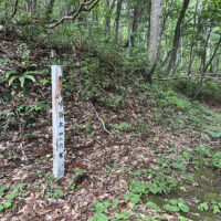 黒沢峠頂上（標高426m）。旧道への分岐（古道ではない）